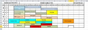 Vet School Year One Semester One Timetable