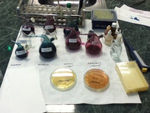 Microbiology special staining methods practical setup