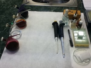microbiology-staining-practical-setup