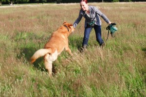 26-7-12-Suzy-Mitchell-@suzyseraphina-Honey-3-legged-cancer-survivor 26-7-12 Suzy Mitchell @suzyseraphina Honey 3 legged cancer survivor