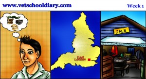 Vet School Diary Comic Week 1 Vet School Diary Comic Week 1