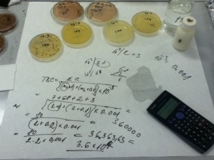 Milk Microbiology Total Bacteria Count for Raw Milk