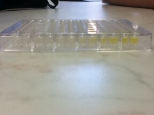 96 well ELISA test plate