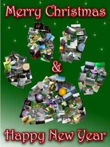 Vet School Diary Christmas Card 2012