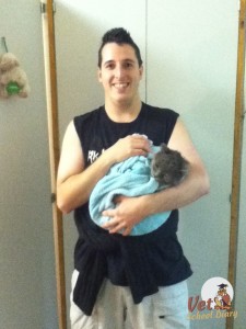 Drying a wet cat