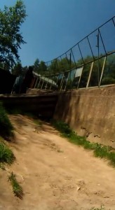 Inside the fence of the tigers enclosure