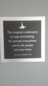The passion behind medicine